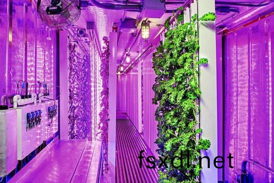 集装箱(xiang)农(nong)场开(kai)始火(huo)了，特(te)斯(si)拉(la)CEO的弟(di)弟(di)也(ye)开(kai)始(shi)在(zai)